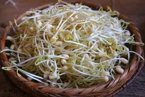 做法,凉拌豆芽菜怎么做好吃,凉拌豆芽菜的家常做法