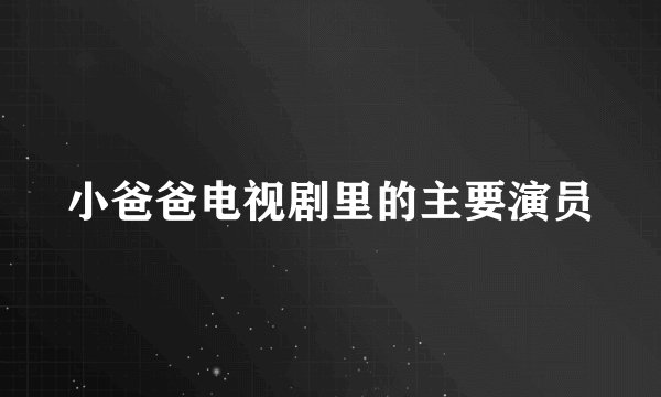 小爸爸电视剧里的主要演员